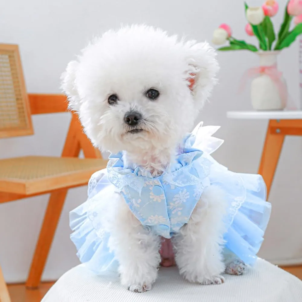ANIAC Daisy Small Dog Dresses Female with Leash Ring,Bow Knot Girl Puppy Wedding Dress,Valentine's Cat Outfit,Fancy Pet Party Dress for Kitten Chihuahua Yorkie Pomeranian (Blue, Small)
