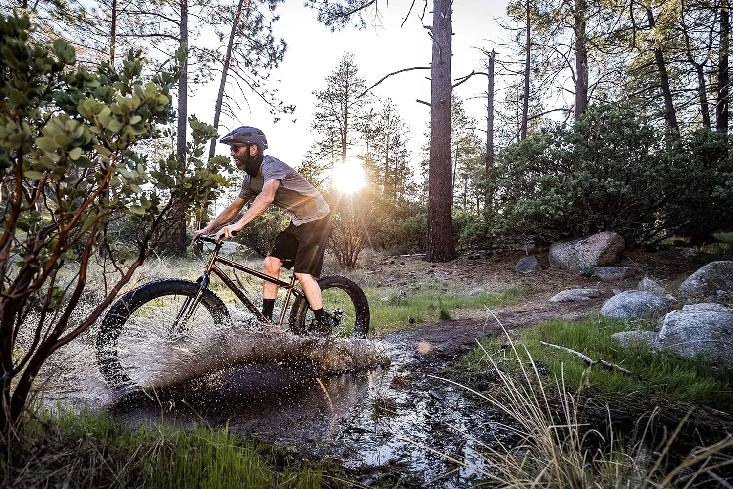 Mongoose Argus ST & Trail Fat Tire Mountain Bike for Adult Youth Men Women, 20 to 26-Inch Wheels, Mechanical Disc Brakes, Steel or Aluminum Frame and 7 or 16-Speed Options