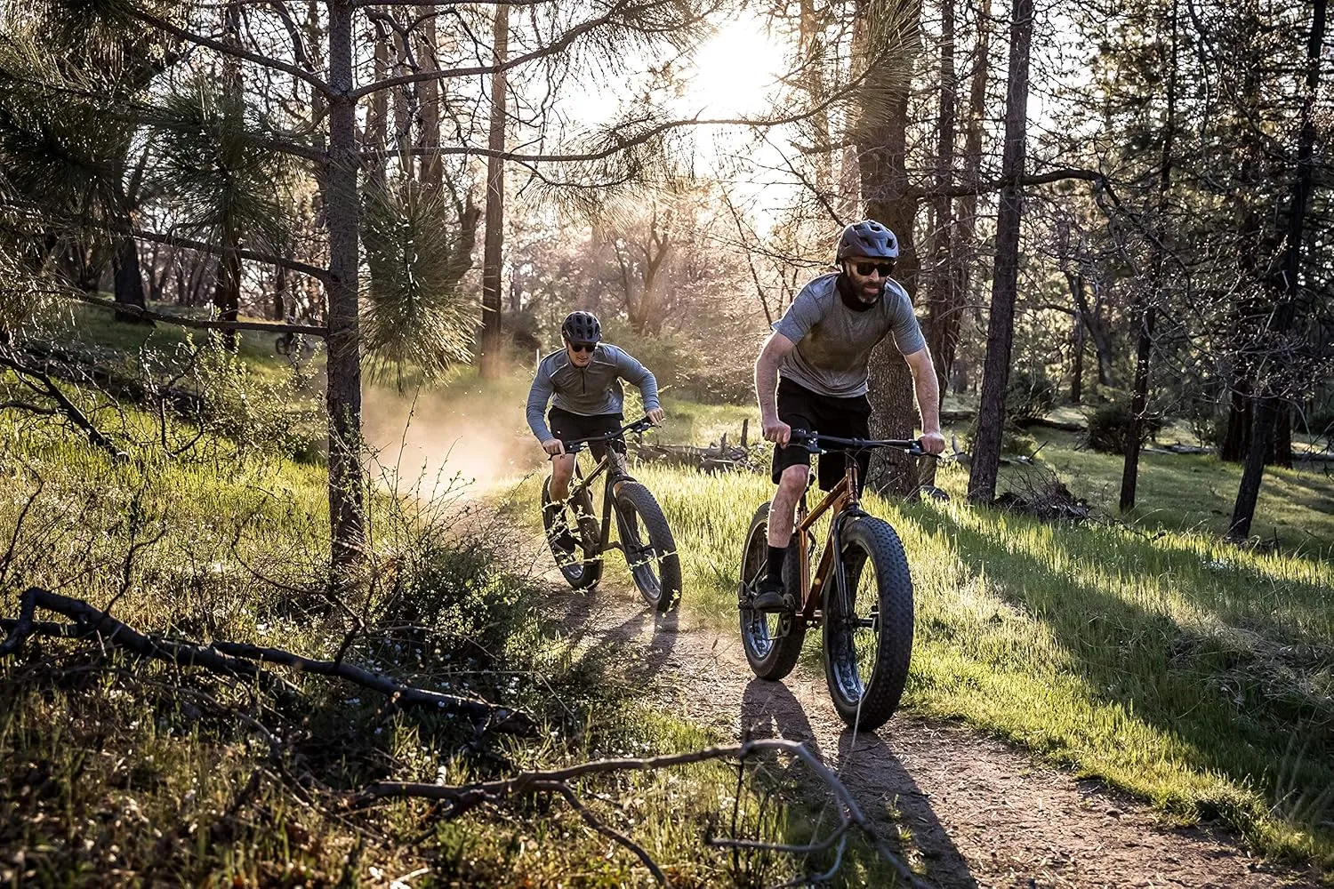 Mongoose Argus ST & Trail Fat Tire Mountain Bike for Adult Youth Men Women, 20 to 26-Inch Wheels, Mechanical Disc Brakes, Steel or Aluminum Frame and 7 or 16-Speed Options