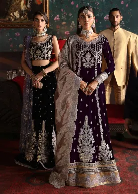 Niloufer Velvet Edit '23 by Mushq | SHIRIN
