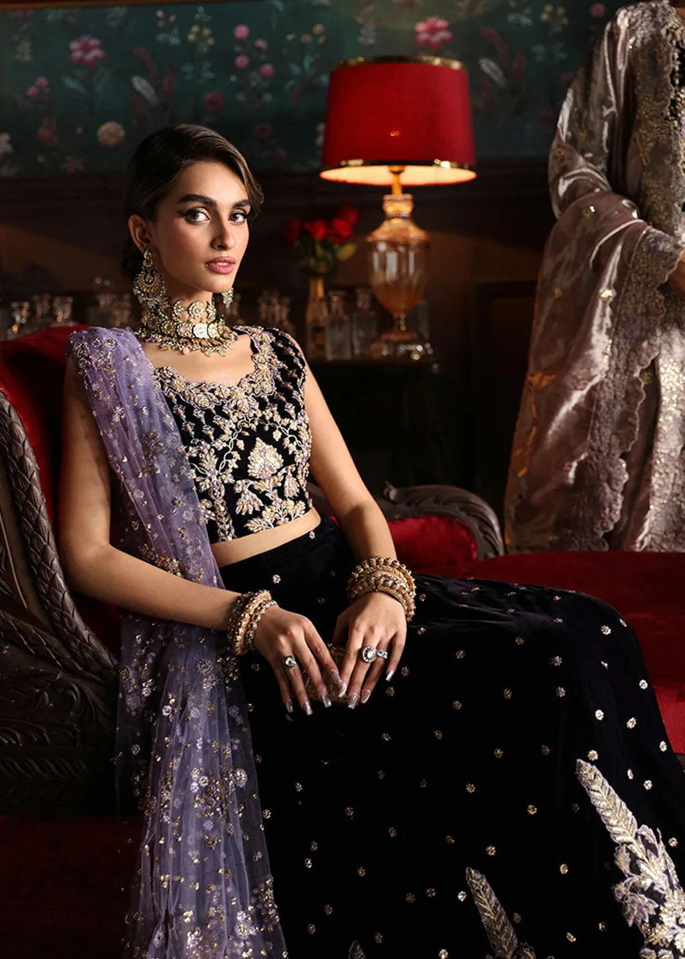 Niloufer Velvet Edit '23 by Mushq | SHIRIN