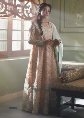 Peach Organza Net Pakistani Suit | Mushq | Qala Kamdaani | Amira
